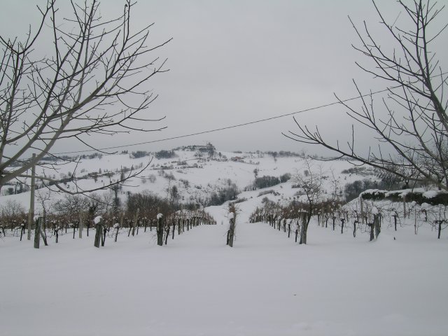 nevicata30012005_05