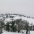 Foto Sorbolongo &raquo; Nevicata eccezzionale - gennaio 2005